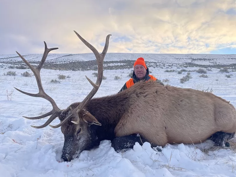 Montana Whitetails hunts