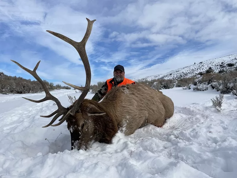 Montana Whitetails hunts