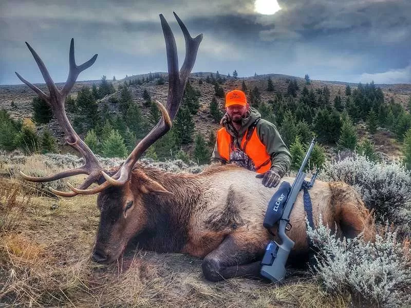Montana elk hunting