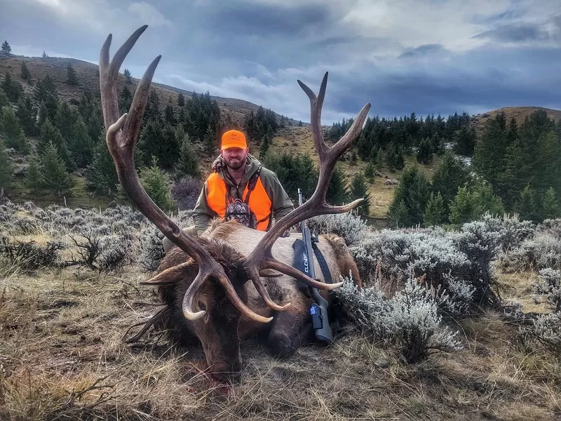 Montana elk hunts