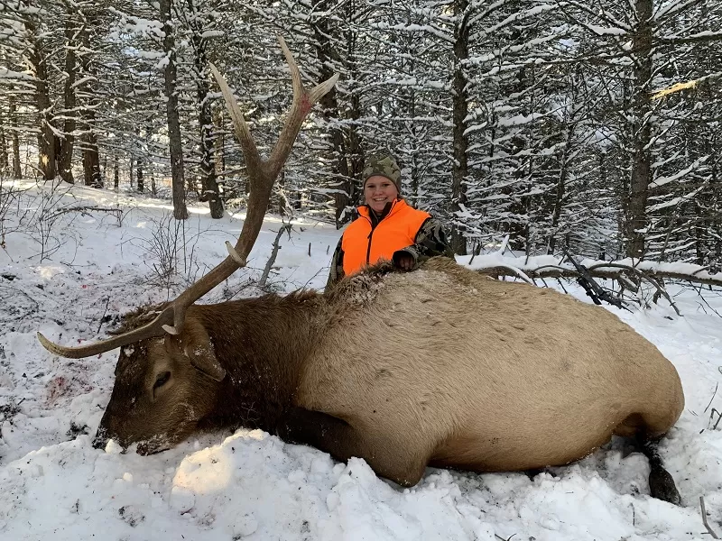 Montana elk hunting trips