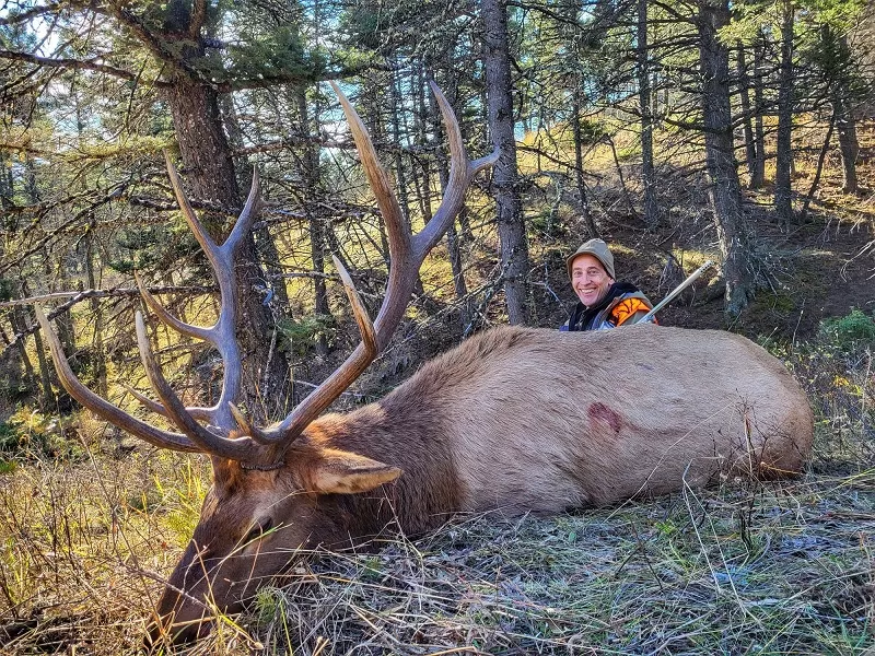 Elk hunting