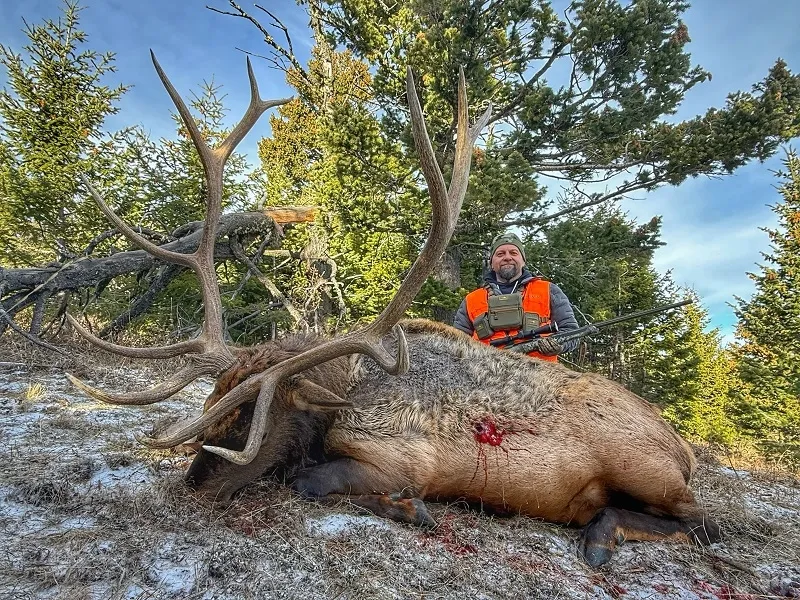 Elk hunts in Montana